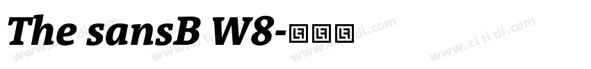The sansB W8字体转换